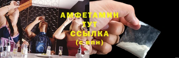 индика Бородино