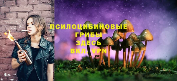 скорость Богданович