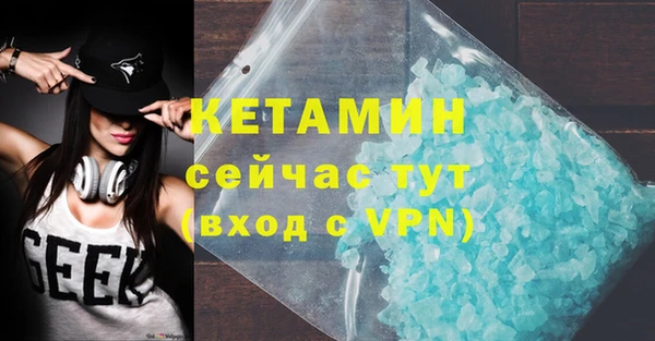 индика Бородино