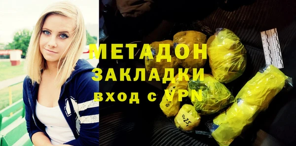 индика Бородино