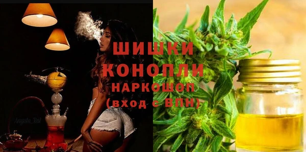 индика Бородино
