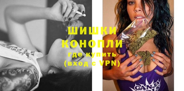 индика Бородино