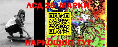 тгк Бийск