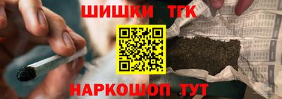 тгк Бийск