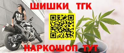 тгк Бийск