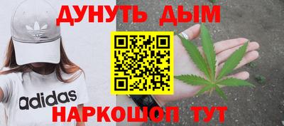 тгк Бийск
