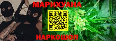 тгк Бийск