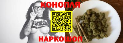 тгк Бийск