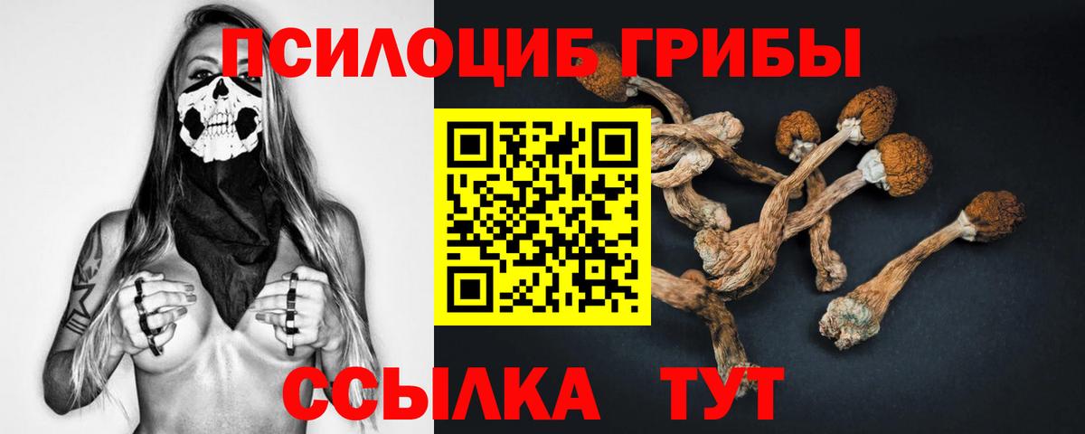 Псилоцибиновые грибы Cubensis  Воскресенск 