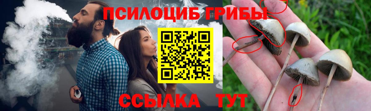 Воскресенск  Псилоцибиновые грибы MAGIC MUSHROOMS  Вход с VPN  Псилоцибиновые грибы Cubensis 